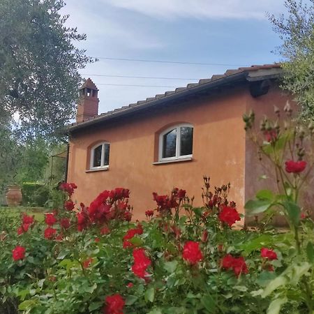 Villa La Casa Delle Rose à Terranuova Bracciolini Extérieur photo