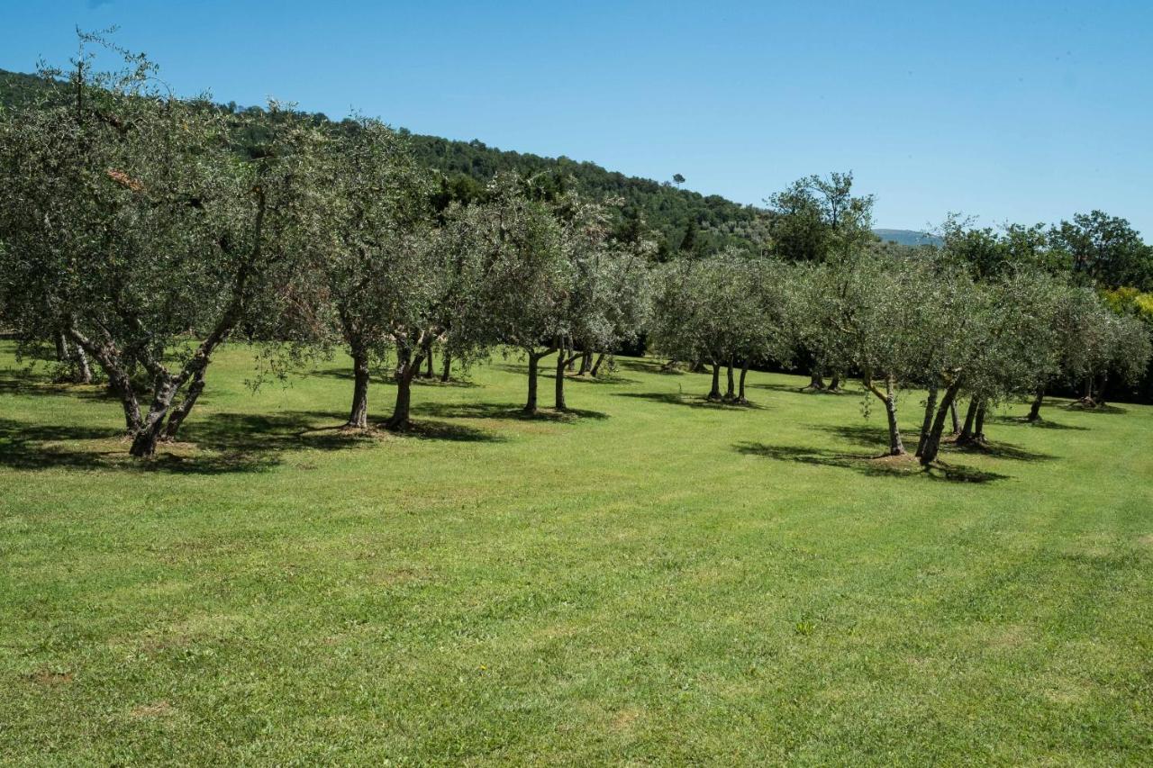 Villa La Casa Delle Rose à Terranuova Bracciolini Extérieur photo
