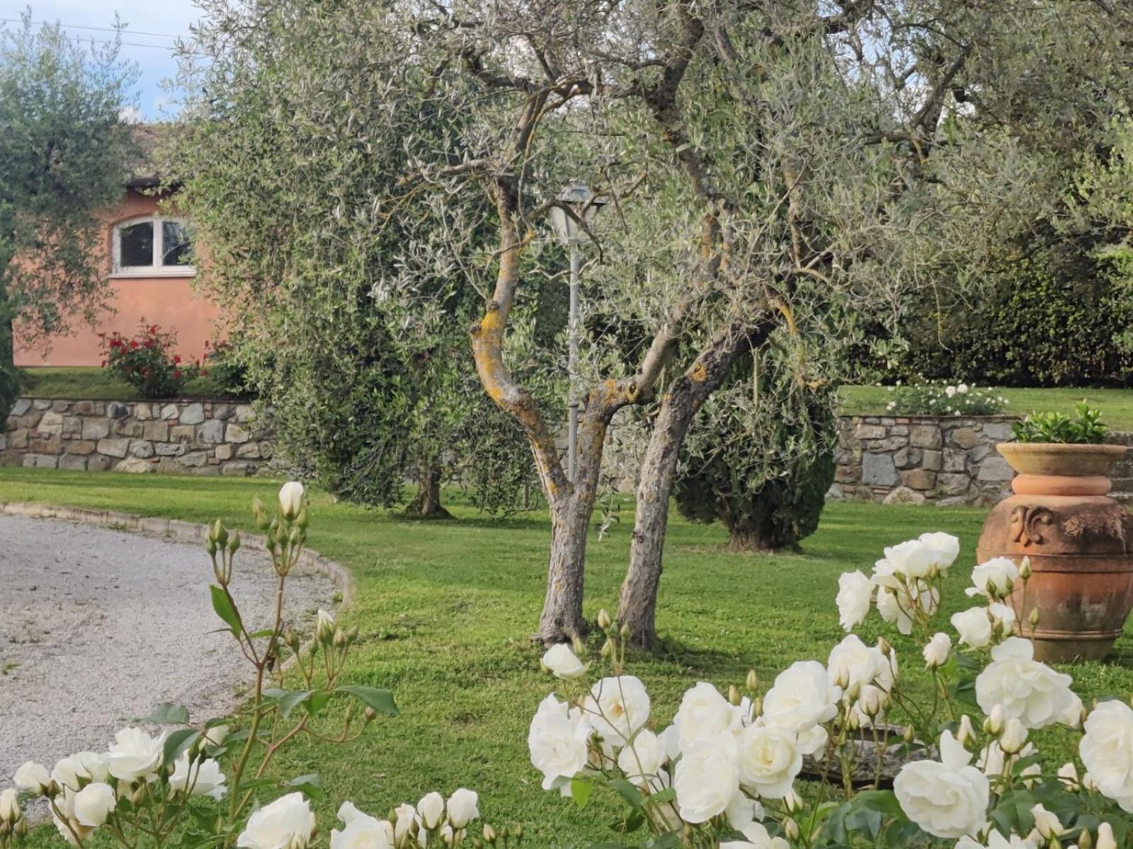 Villa La Casa Delle Rose à Terranuova Bracciolini Extérieur photo